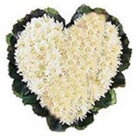 Have A Beautiful Day!